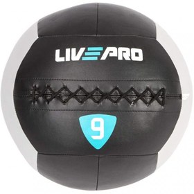 تصویر وال بال LIVEPRO مدل LP8100 وزن 9 کیلوگرم 