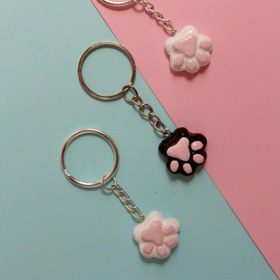 تصویر جاکلیدی پنجه گربه 