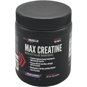 تصویر پودر مکس کراتین مکس ماسل 250 گرمی Max Muscel Max Creatine 250 g