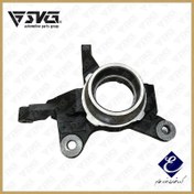 تصویر سگدست چپ تیبا ، ریو طرح قدیم عظام 