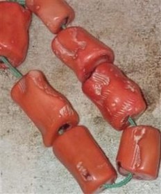 تصویر سنگ مرجان کهنه قدیمی 