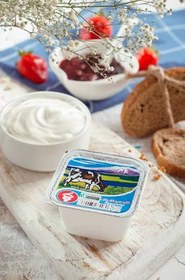 تصویر خامه تک نفره پاک خامه ۱۰۰ گرمی با طعم عسل شکلات و ساده