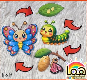 تصویر چرخه زندگی کرم ابریشم لمینتی و مگنت دار 