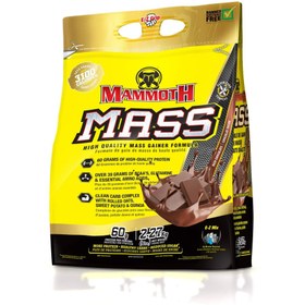 تصویر مس گینر ماموت MAMMOTH MASS 5LB CHOCOLATE BAG