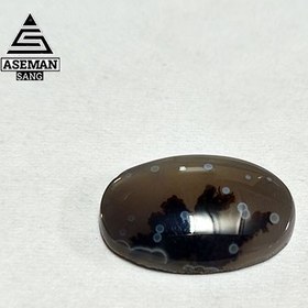 تصویر شجر S61 