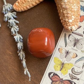 تصویر جاسپر قرمز ۰۷ 