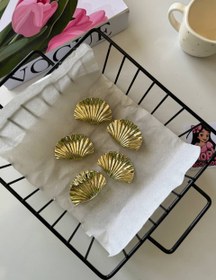 تصویر کلیپس صدف 