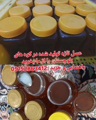 تصویر عسل ارگانیک و تازه بلوچستان بسیار خوشمزه و عالی باغات ناهوک 