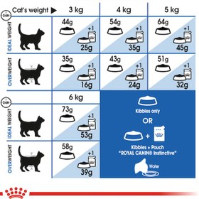 تصویر غذای خشک گربه رویال کنین مدل INDOOR وزن 2 کیلوگرم Royal Canin dry cat food INDOOR w2 kg