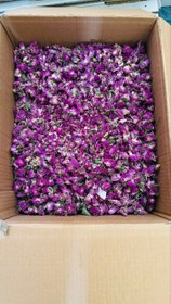 تصویر غنچه گل محمدی ۱ کیلوگرم 