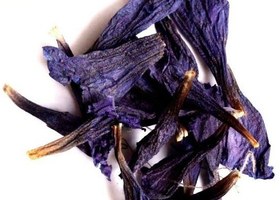 تصویر گل گاوزبان 