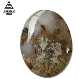 تصویر شجر S72 