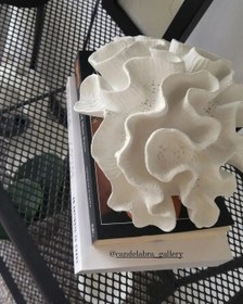 تصویر مرجان دریایی coral sea