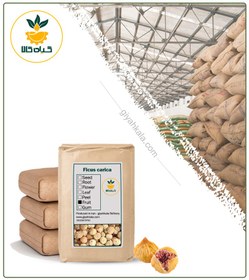 تصویر انجیر خشک فله 