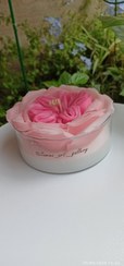 تصویر شمع گل رز صورتی Pink handmade flower candle