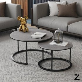 تصویر میز جلو مبلی دوقلو فلزی ۲ تکه مدل لسلی 