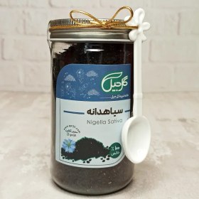 تصویر سیاهدانه گل‌جیل 