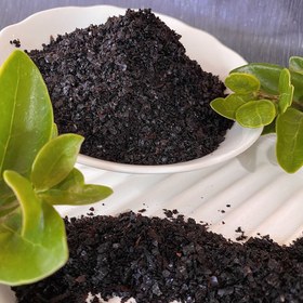 تصویر پول‌بیبر سیاه(ترک) 