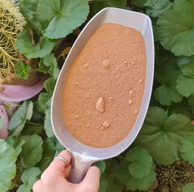 تصویر غوره - پودر 