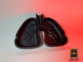 تصویر زیرسیگاری طرح ریه Lung-Shaped Resin Ashtray