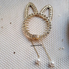 تصویر گیره گوجه ای گربه کد ۲۱۱۱ 