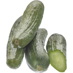 تصویر خیار ارگانیک رضوانی – 1 کیلوگرم 