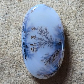 تصویر شجر قائن زیبا خاص 