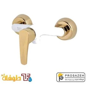 تصویر شیر توالت طوفان فلز مدل مینا Tofan Felez Toilet Faucet Mina Model