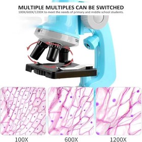 تصویر میکروسکوپ دانش آموزی 