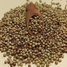 تصویر تخم گشنیز 