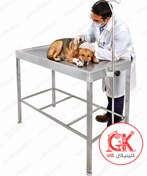 تصویر میز معاینه حیوانات خانگی پایه ثابت - استیل / لبه دار 