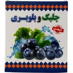 تصویر پودر جلبک و بلوبری لاغری بدن اسپرولینا اصلی ۲۰۰گرمی Jolbak