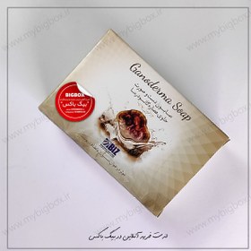 تصویر صابون گانودرما دکتر بیز Dr Biz Ganoderma Soap