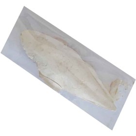 تصویر کف دریا مدل Cuttlebone 