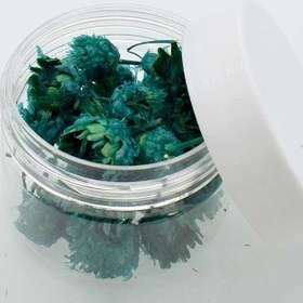 تصویر گل خشک فندقی سبزآبی 