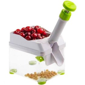 تصویر هسته گیر آلبالو نوین 