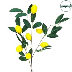 تصویر شاخه لیمو مصنوعی 
