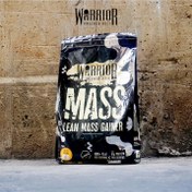 تصویر گینر واریور ۵ کیلوگرم پودر مس 