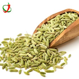 تصویر رازیانه 