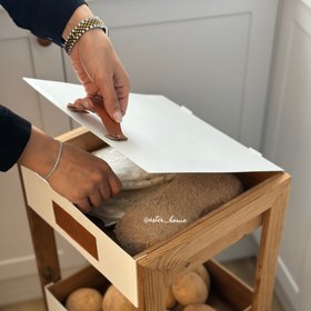 تصویر جا سیب زمینی پیازی 