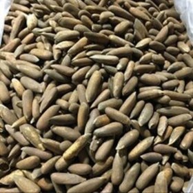 تصویر چلغوز (بدون نمک) 1000گرم 