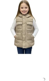 تصویر پافر بچگانه 