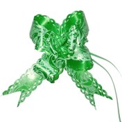 تصویر ربان آماده 51 سانت سبز بسته 10 عددی 