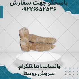 تصویر جینسینگ جینسینگ40گرمی