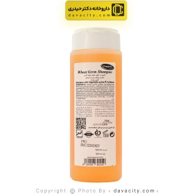 تصویر شامپو جوانه گندم کاپوس 250 میلی لیتر Kappus wheat germ shampoo 250 ml