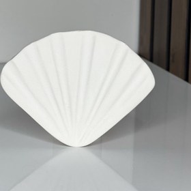 تصویر صدف تخت 