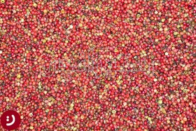 تصویر فلفل صورتی - پاکت پلاستیکی / 1kg / دان لوکس PINK PEPPERCORN