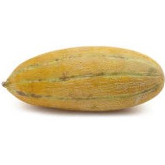 تصویر خربزه کوچک فله - 1.5 تا 2.5 کیلوگرم ا Persian melon 1 Persian melon 1