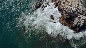 تصویر دانلود فوتیج برخورد امواج اقیانوس با صخره Birds Take Off When Ocean Hits The Rock 