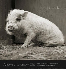 تصویر دانلود کتاب Allowed to Grow Old: Portraits of Elderly Animals from Farm Sanctuaries [1&nbsp;ed.] کتاب انگلیسی مجاز به پیر شدن: پرتره های حیوانات مسن از پناهگاه های مزرعه [1&nbsp;ed.]